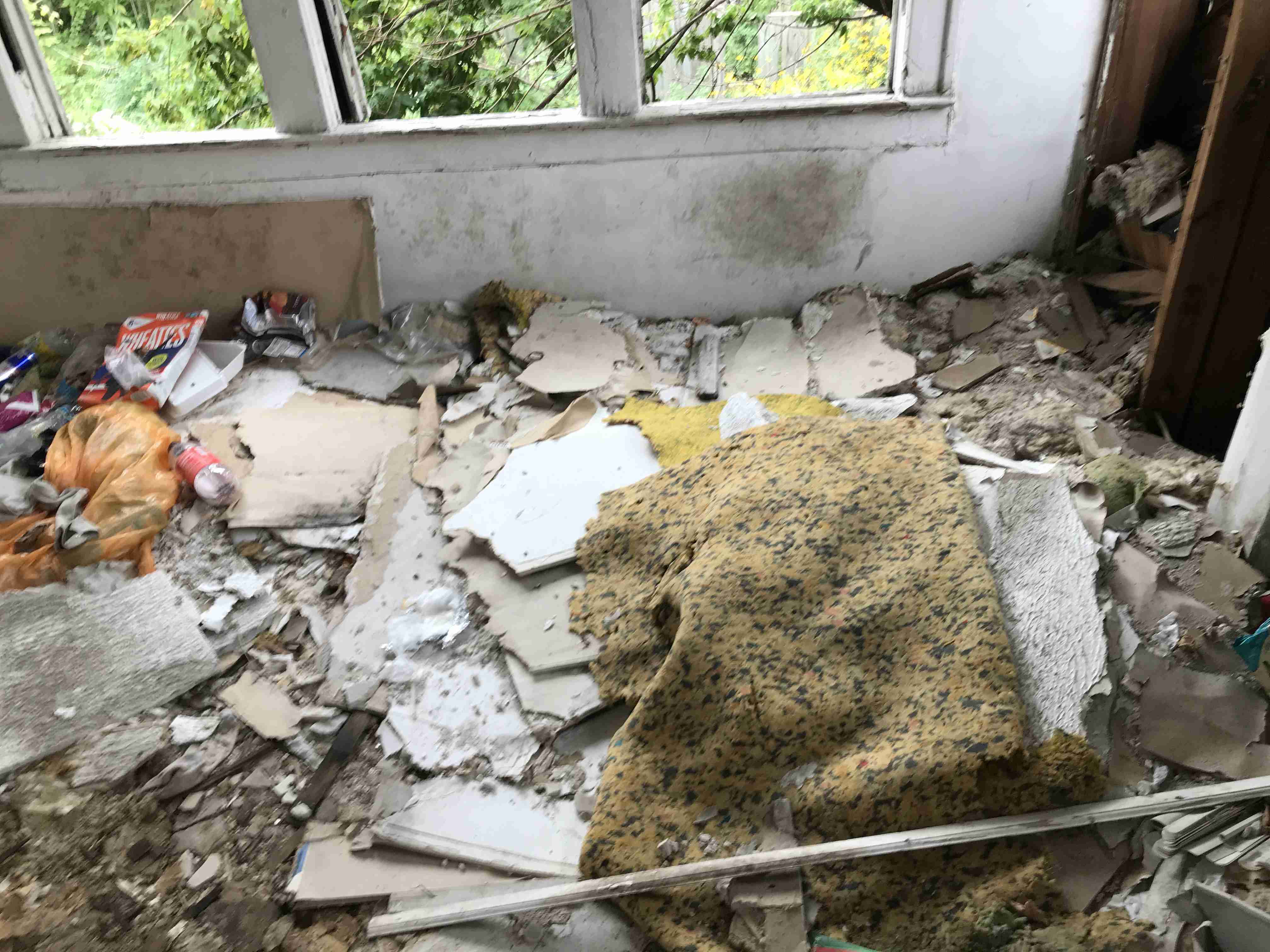 Photo Sep 10, 2 26 51 PM.jpg